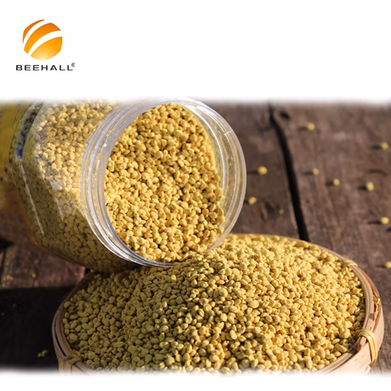Fournisseur de produits Beehall Bee Pollen d'abeille de colza en vrac comestible biologique pur