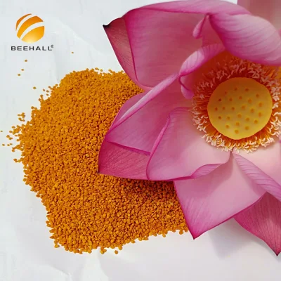 Fabricant de produits de santé Beehall Compléments alimentaires Pollen d'abeille de lotus cru